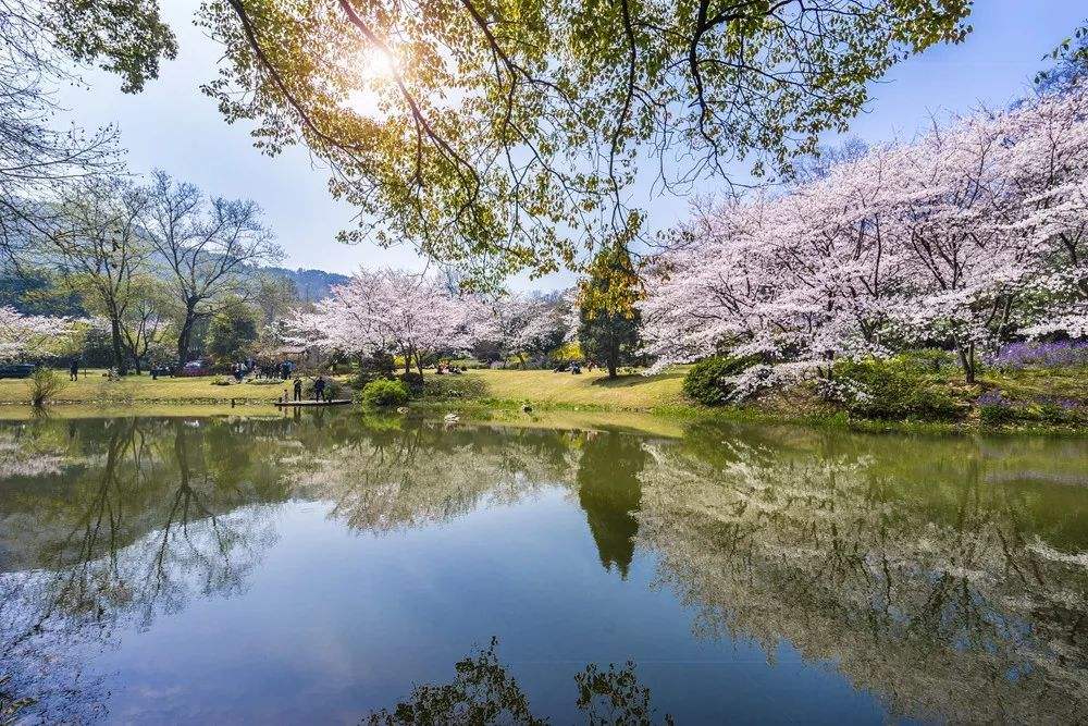 江蘇：2019年高職（專(zhuān)科）批次錄取全面展開(kāi) 8月4日征集志愿