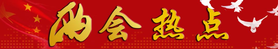 與你相關(guān)！政府工作報告釋放了什么教育信號？聽代表委員為你解讀 | 兩會熱點